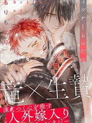 森林里的熊先生冬眠中无广告观看